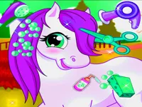 image Horse Pet Salon