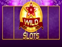 Wild Slot
