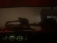 Spooky Jungle Safari